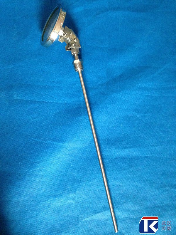 ������˫�����¶ȼƣ�WSS-381/481/581