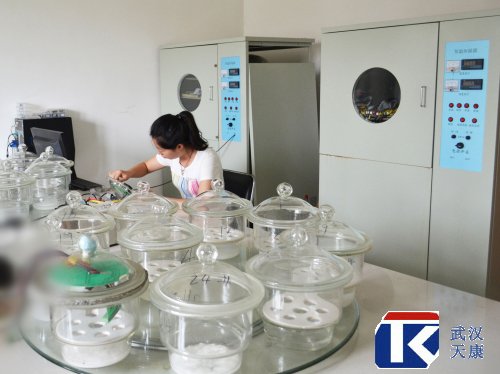 �ȵ�ż���ȵ����⳵��