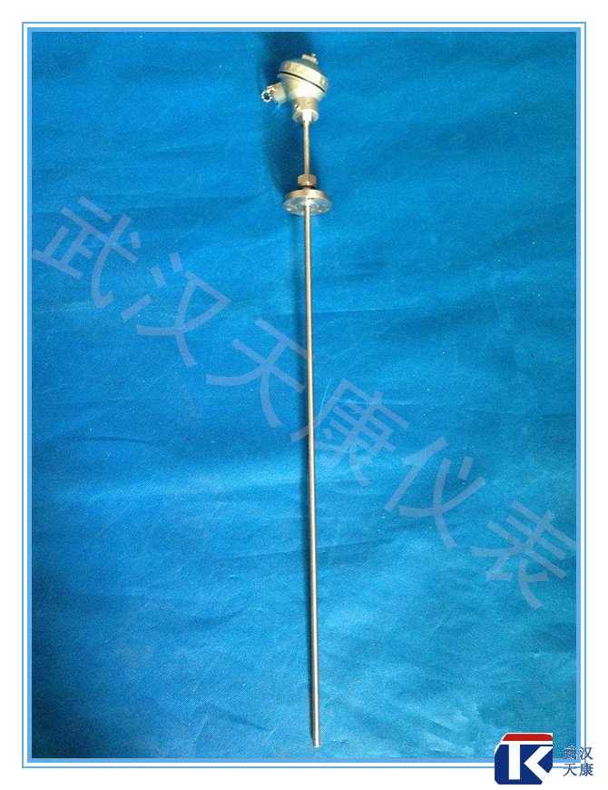 ��װ�ȵ���/WZPK-338/pt100�ȵ���