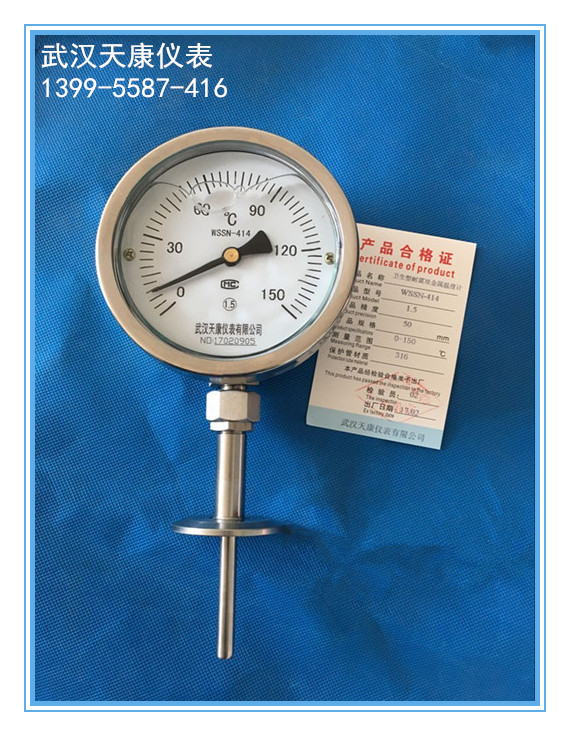 ����������˫�����¶ȼ�WSSN-414