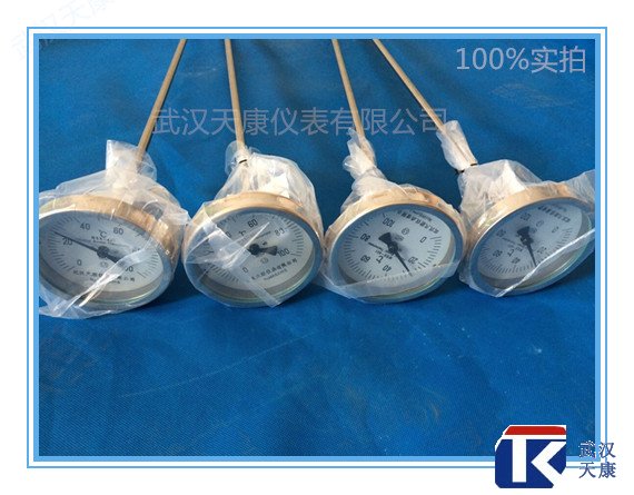 ˫�����¶ȼ� WSS-301/401/501