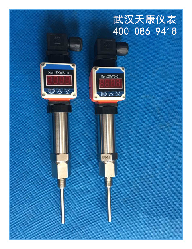 �ֳ���ʾ��˹���¶ȴ�������һ�廯pt100�ȵ��贫����