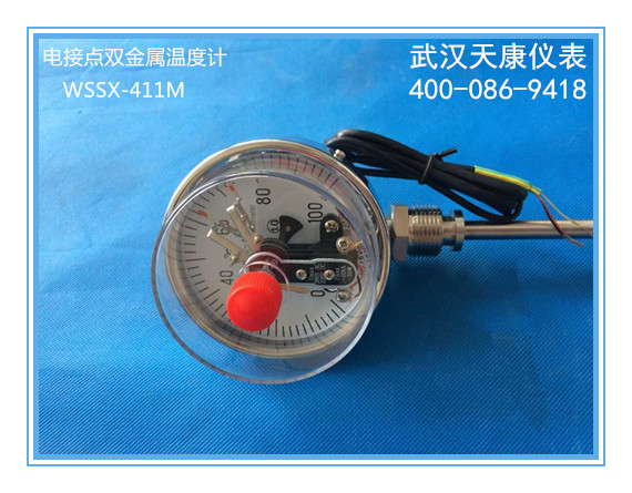 ��ӵ�˫�����¶ȼ�