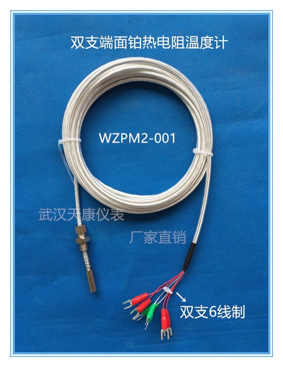 �ȵ��衢pt100�ȵ��衢��ĥ�ȵ��衢��װ�ȵ���