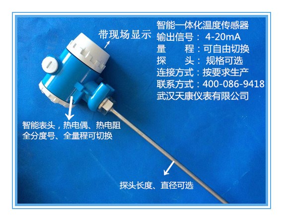 �ȵ��衢pt100�ȵ��衢��װ�ȵ���