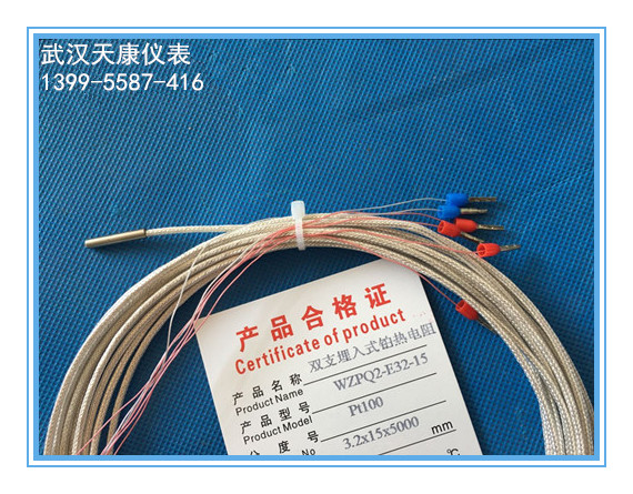 WZPQ-E32-15/WZPQ2-E32-15���ֻ�������ʽ�ȵ���