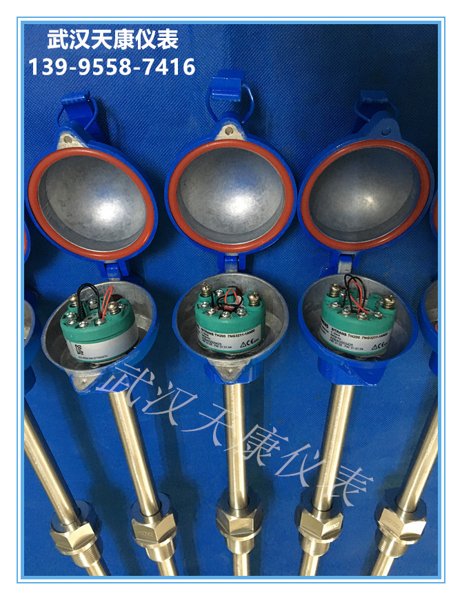 һ�廯�ȵ���/pt100�ȵ���